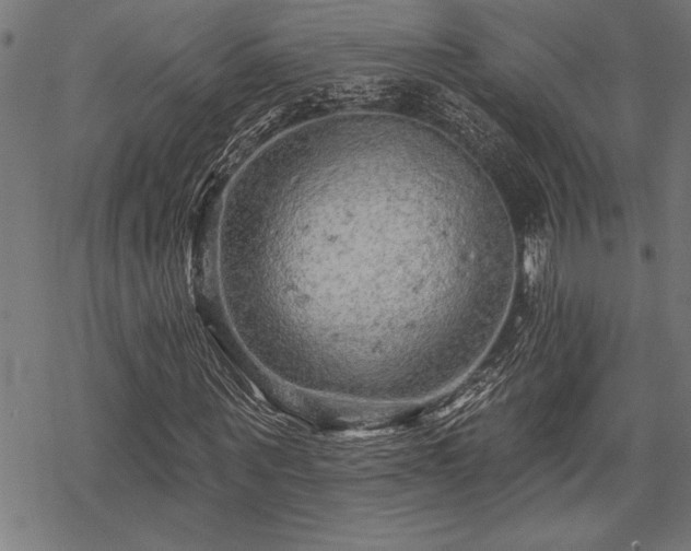 X0000069790867200605221112