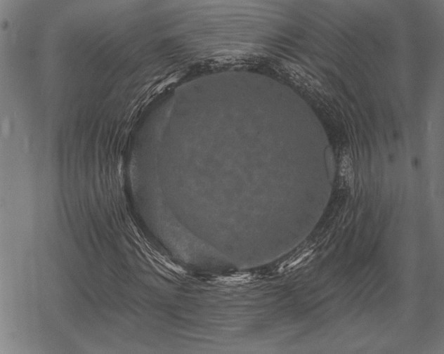 X0000069790868200605221112