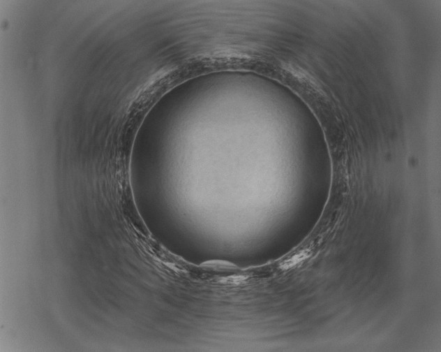 X0000069790870200605221112