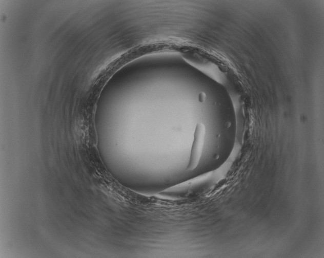 X0000069790872200605221112