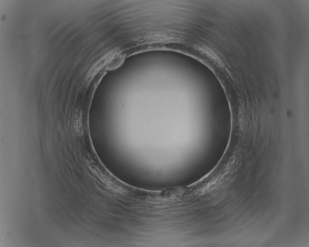 X0000069790873200605221112