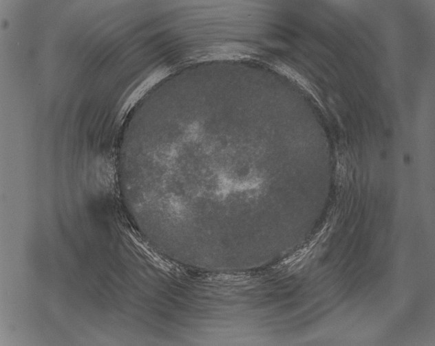 X0000069790874200605221112