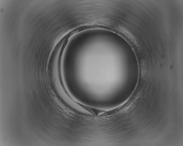 X0000069790876200605221112