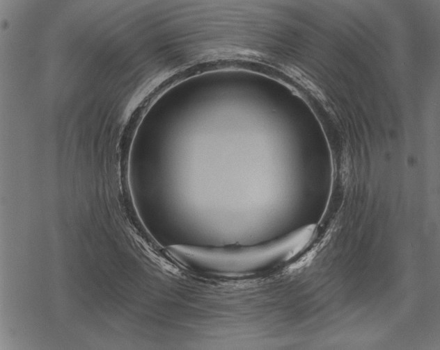 X0000069790877200605221112