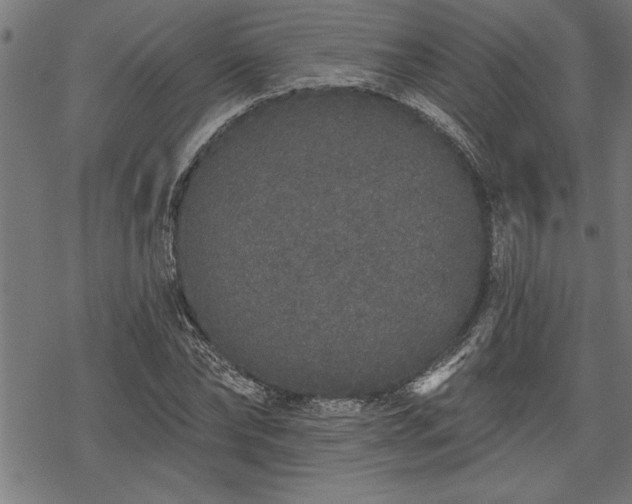 X0000069790878200605221112