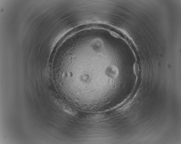 X0000069790879200605221112