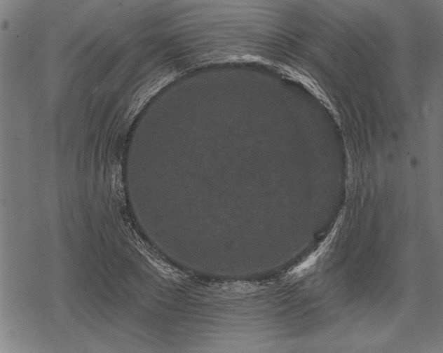 X0000069790881200605221112