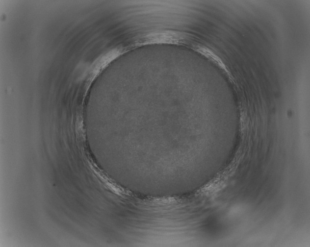 X0000069790882200605221112