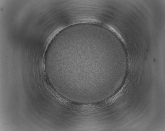 X0000069790883200605221112