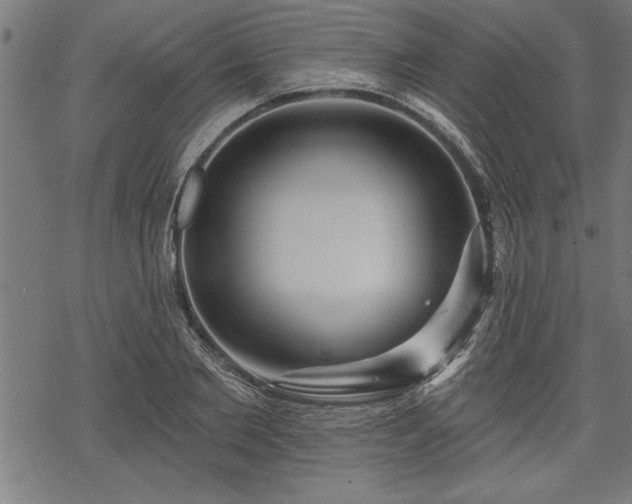 X0000069790885200605221112