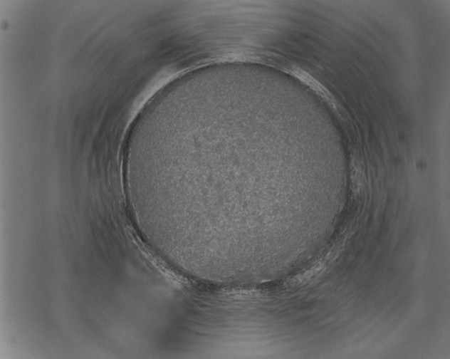 X0000069790886200605221112