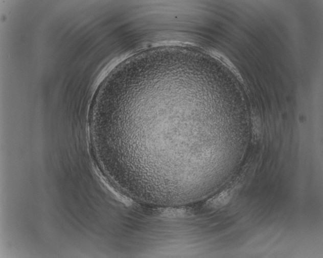 X0000069790890200605221112