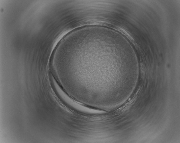 X0000069790891200605221112