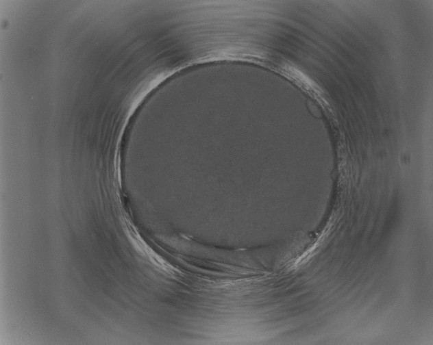 X0000069790892200605221112