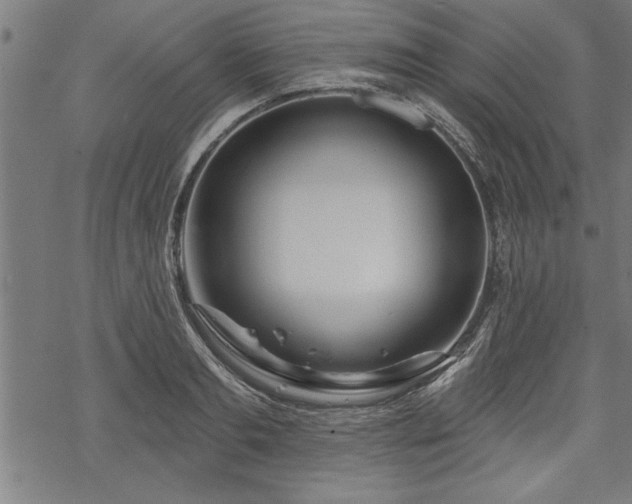 X0000069790893200605221112