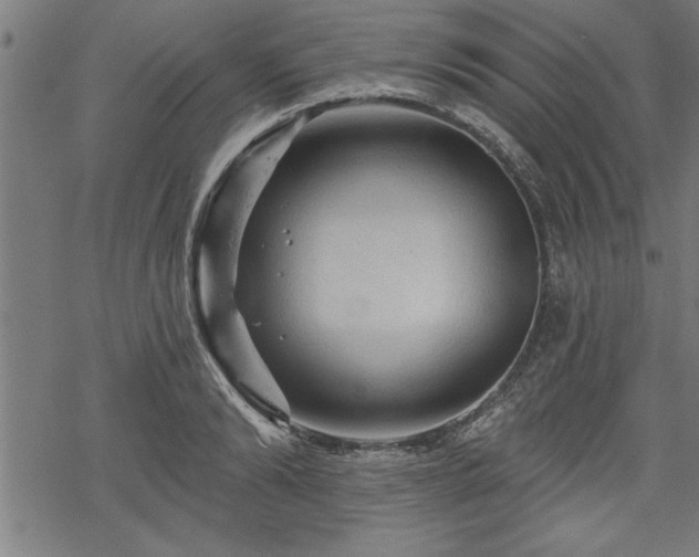 X0000069790894200605221112