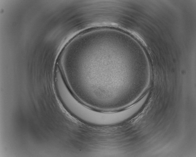 X0000069790895200605221112