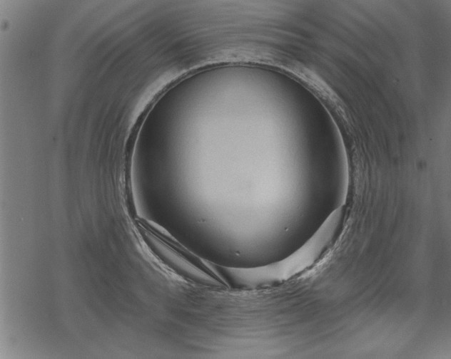 X0000069790896200605221111