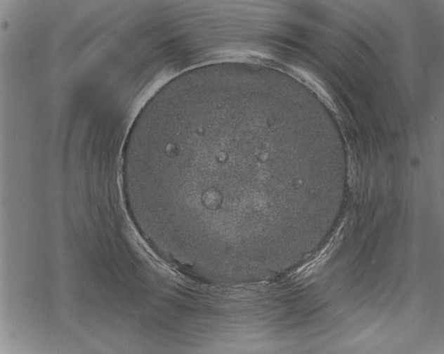 X0000069790899200605221111