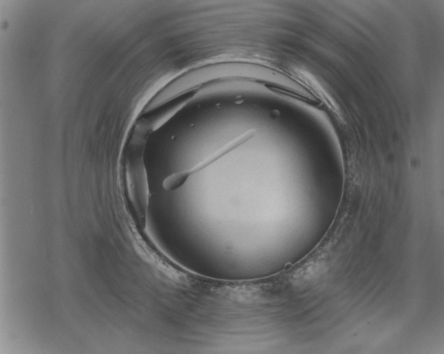 X0000069790900200605221111