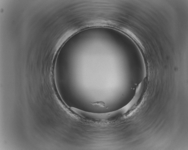 X0000069790901200605221111