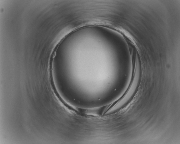 X0000069790902200605221111