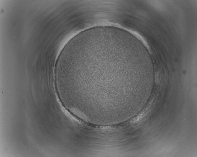 X0000069790903200605221111