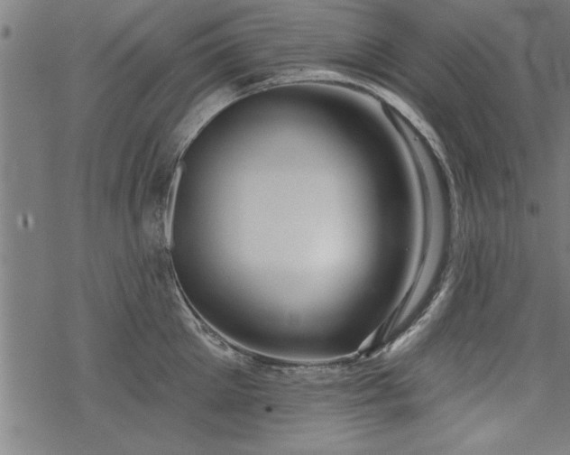 X0000069790905200605221111