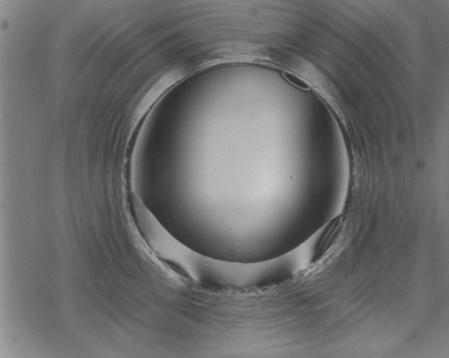 X0000069790906200605221111