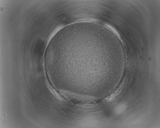 X0000069790907200605221111