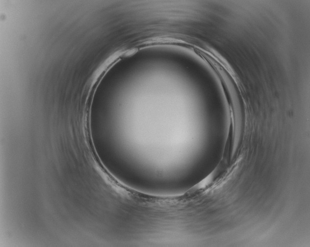 X0000069790909200605221111