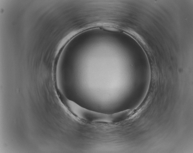 X0000069790910200605221111