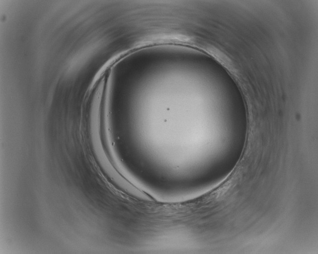 X0000069790912200605221111