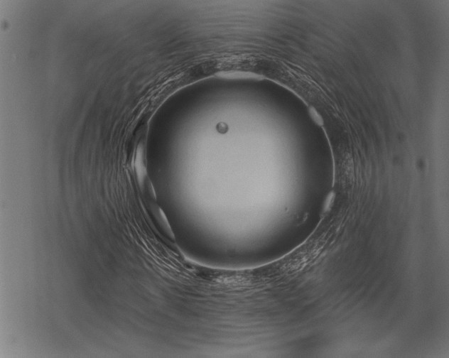 X0000069790914200605221110