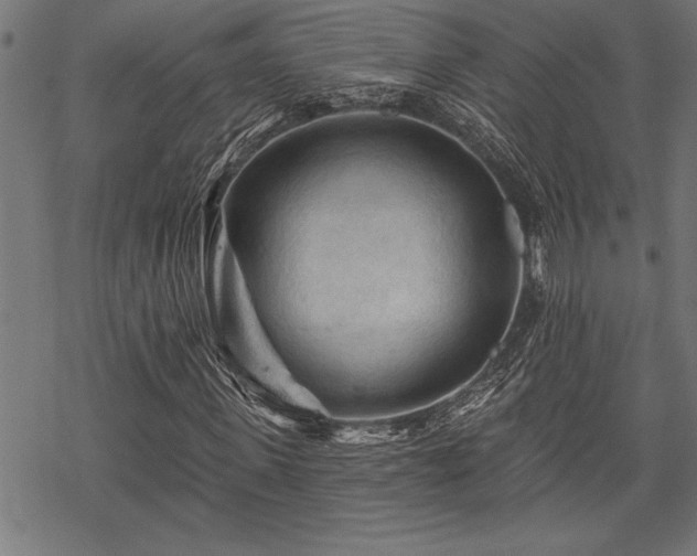 X0000069790915200605221110