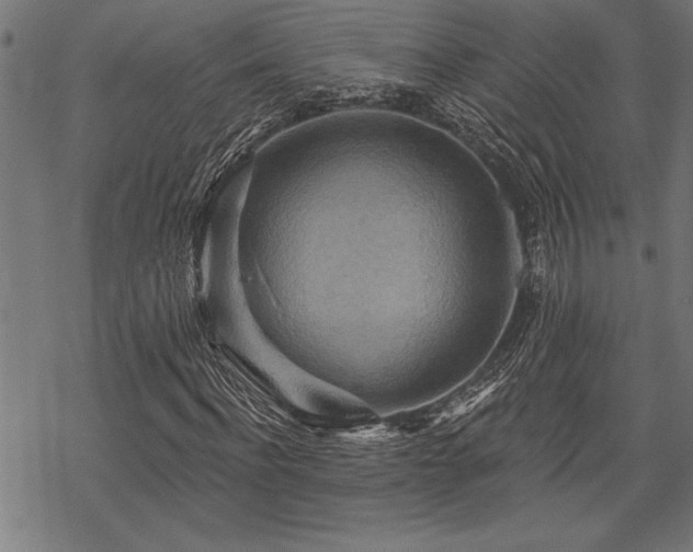 X0000069790916200605221111