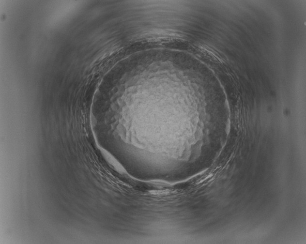 X0000069790917200605221111