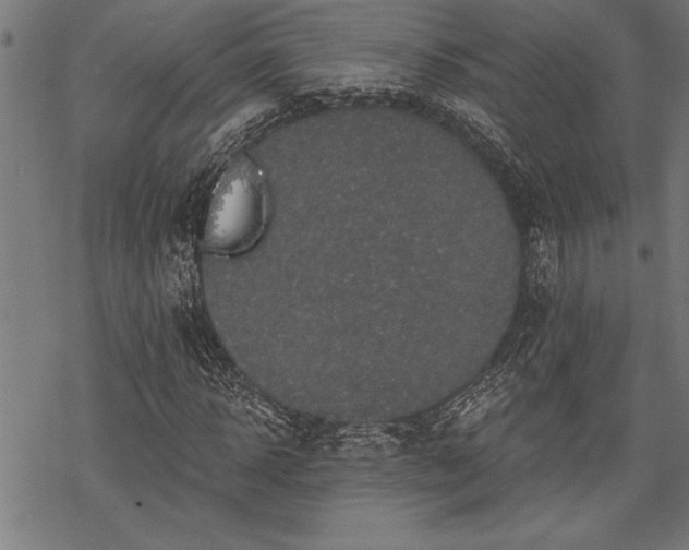 X0000069790918200605221111