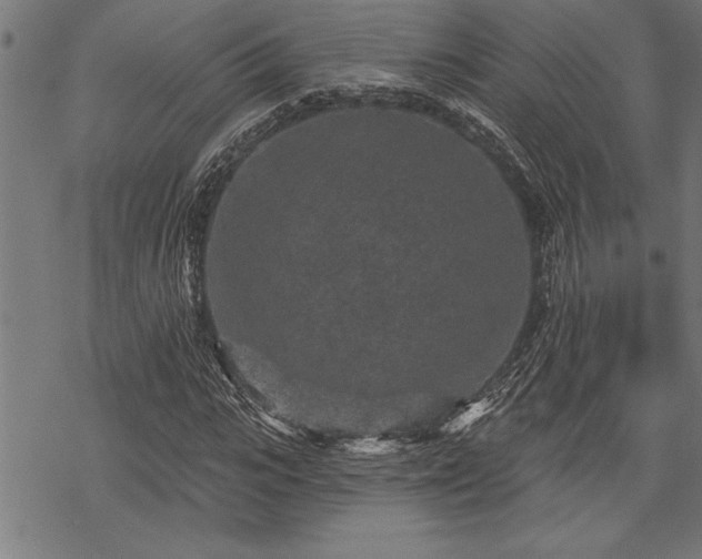 X0000069790919200605221111