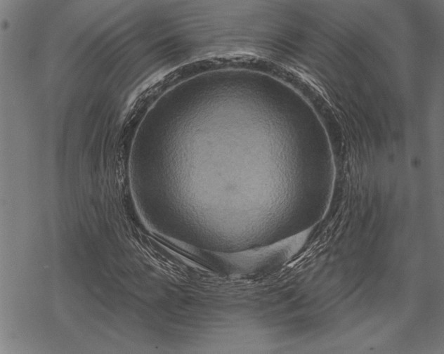 X0000069790920200605221111