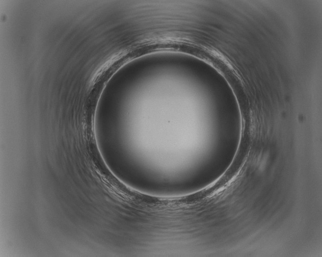 X0000069790922200605221111