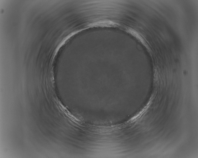 X0000069790923200605221111