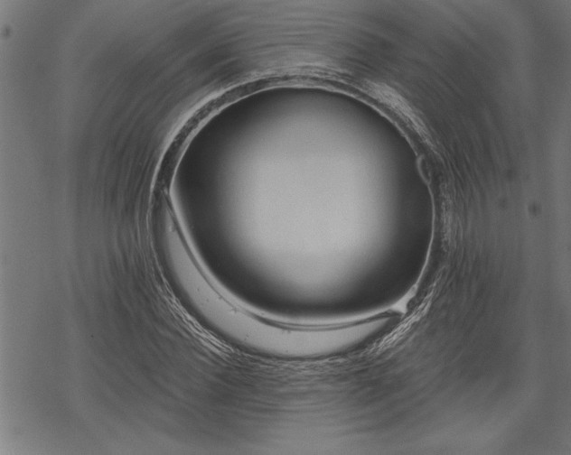 X0000069790924200605221111