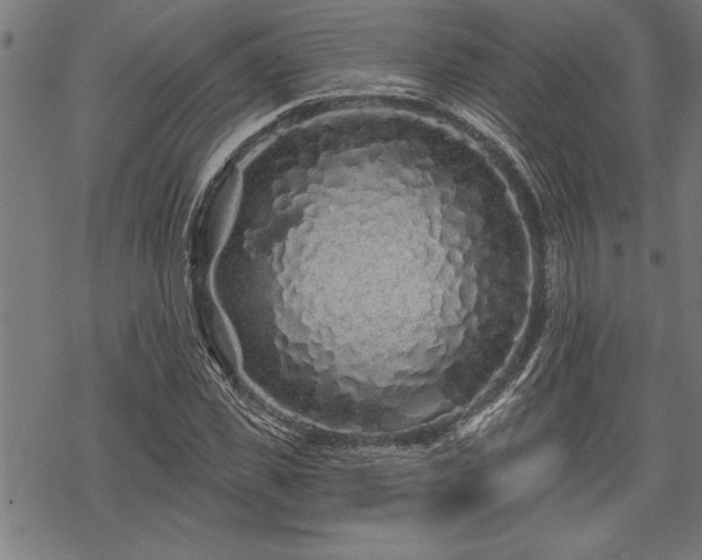 X0000069790925200605221111