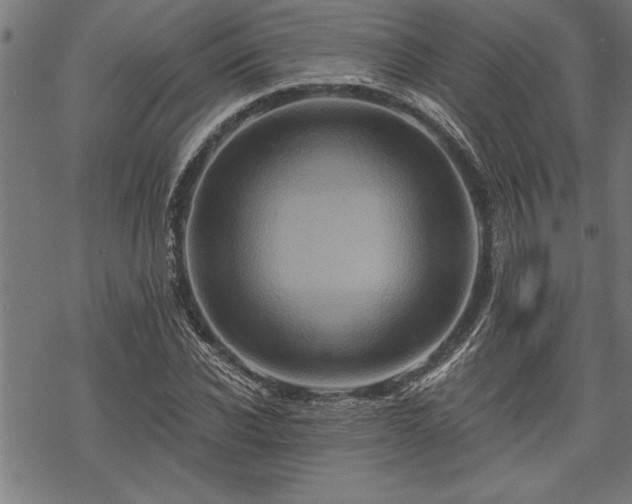 X0000069790926200605221111