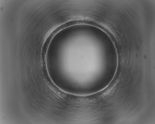 X0000069790927200605221111