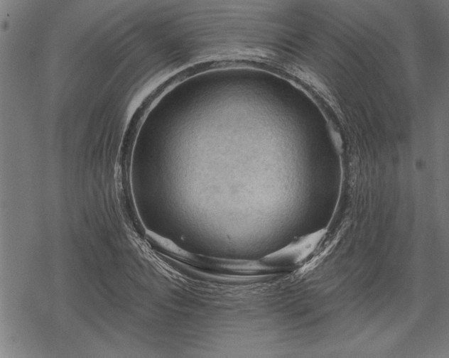 X0000069790928200605221111