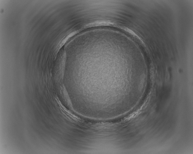 X0000069790929200605221111