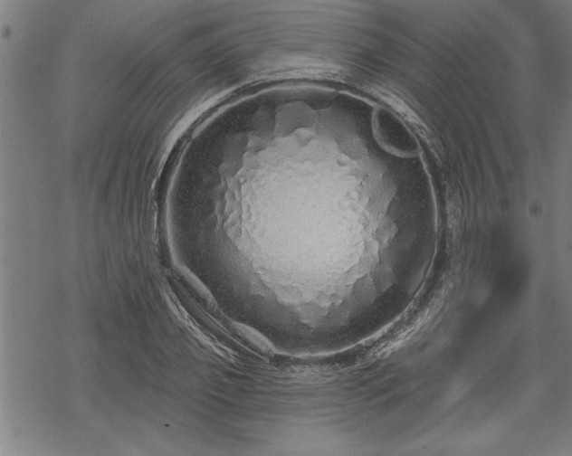 X0000069790933200605221111