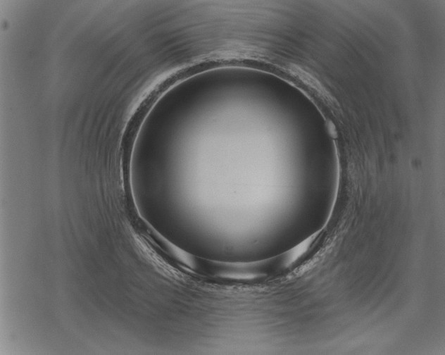 X0000069790934200605221111